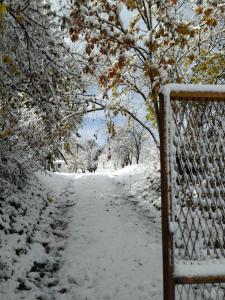 une clôture recouverte de neige à côté d'un chemin enneigé dans l'établissement Holiday home Nanin konak 2, à Vrdnik