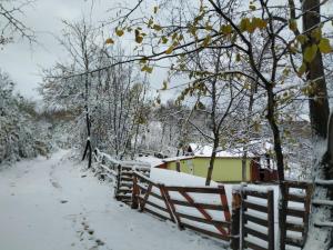 un chemin enneigé avec une clôture et des arbres dans l'établissement Holiday home Nanin konak 2, à Vrdnik