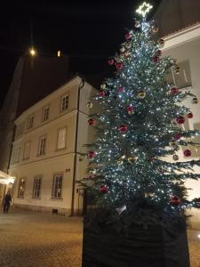 un albero di Natale davanti a un edificio di Betlem Prague Apartments a Praga