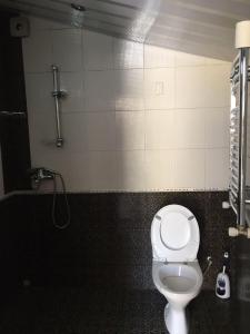 a bathroom with a toilet and a shower at Anastasia in Mtskheta