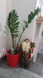 eine Santa-Klausel neben einer Topfpflanze in der Unterkunft Apartman Zlatovo Stan Na Dan in Požarevac