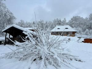 ein schneebedeckter Busch vor einer Hütte in der Unterkunft Casa Berg in Vişeu de Sus