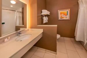 Bilik mandi di Fairfield Inn & Suites by Marriott Harrisburg International Airport