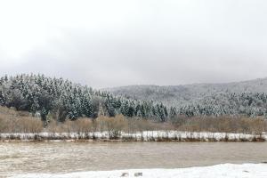 スキュネイザにあるTAOR Karpaty Resort & Spaの雪に覆われた木々と山のある川