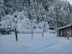 un groupe d'arbres recouvert de neige à côté d'une maison dans l'établissement Ferienhaus Schwarzenbacher, à Lungötz