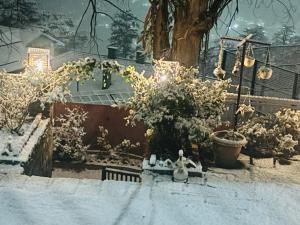 a garden covered in snow with a tree and lights at Aaram Baagh Simla in Shimla