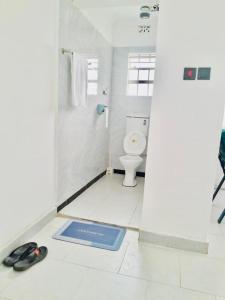 a bathroom with a toilet and a blue mat on the floor at Simply stylish Gardens Naivasha in Naivasha