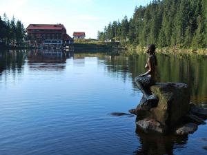 een beeld van een zeemeermin zittend op een rots in het water bij Berghotel Mummelsee in Seebach