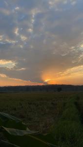 un campo con el sol poniéndose en el cielo en BaanlungchuHomestay&Cafe, en Amphoe Mae Taeng