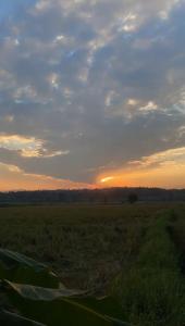 un campo con la puesta de sol en el horizonte en BaanlungchuHomestay&Cafe, en Amphoe Mae Taeng