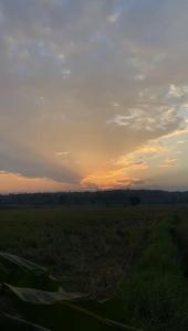 una vista de un campo con una puesta de sol en el fondo en BaanlungchuHomestay&Cafe, en Amphoe Mae Taeng