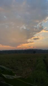 una vista de un campo con una puesta de sol en el fondo en BaanlungchuHomestay&Cafe, en Amphoe Mae Taeng