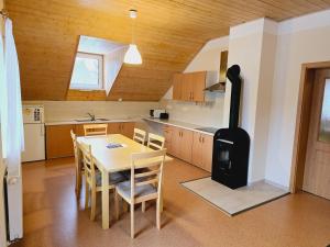 Virtuve vai virtuves zona naktsmītnē Apartment Šumava Kaskady