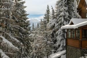 Готельний комплекс Парламент, Яблуниця during the winter