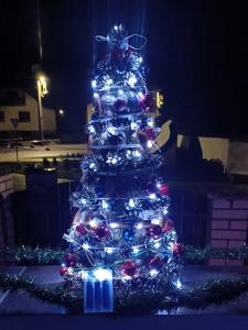 a christmas tree decorated with lights in a yard at Harmony Vendégház Egerszalók in Egerszalók