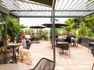 a woman with a dog standing on a patio at ibis Bordeaux Pessac Route des Vins in Pessac