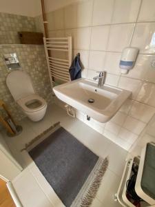 a small bathroom with a sink and a toilet at Apartmány v pivovaru in Kašperské Hory