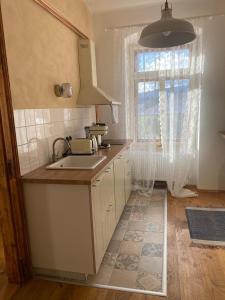 a kitchen with a sink and a window at Apartmány v pivovaru in Kašperské Hory