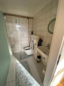 a bathroom with a toilet and a sink at Apartmány v pivovaru in Kašperské Hory