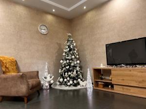 un albero di Natale in un soggiorno con TV di Hotel Magnati Bakuriani a Bakuriani