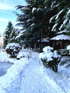 Το Cottage Kazka Lisu τον χειμώνα