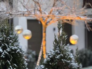 een kerstboom voor een huis met lichten bij Apartsuites Rosengarten - New in Lagundo