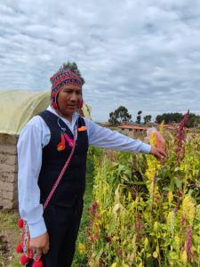 une femme debout dans un champ de fleurs dans l'établissement kaypi rosas wasi Amantani, à Ocosuyo