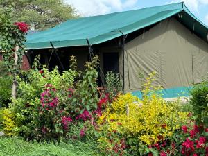 En have udenfor Amboseli Discovery Camp