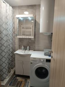 bagno con lavatrice e lavandino di Luksuzni Apartman Ema 2 a Pirot