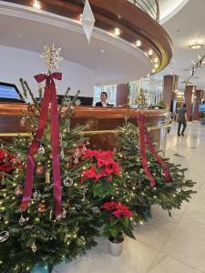 a couple of christmas trees in a lobby at Hotel Aro Palace in Braşov