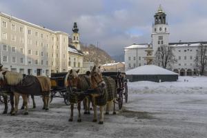 een groep paarden die een paardenkoets trekken bij JUFA Hotel Salzburg in Salzburg