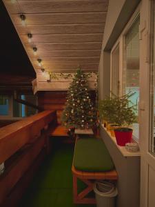 a small christmas tree in a room with a chair at Три-О Апартаменти з балконом, без сусідів за стінкою, для 2-4 осіб in Slavske