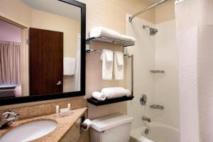 een badkamer met een wastafel, een toilet en een spiegel bij Fairfield Inn & Suites Merrillville in Merrillville