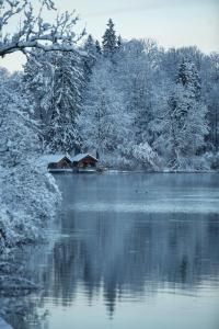 une maison sur un lac avec des arbres enneigés dans l'établissement Althoff Seehotel Überfahrt, à Rottach-Egern