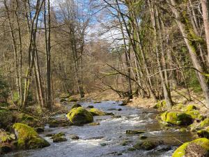 Natural landscape malapit sa holiday home