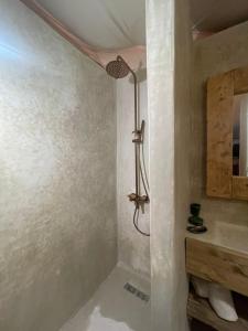 A bathroom at Manzil La Tortue