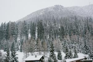 a snow covered mountain with a house and trees at Hotel & Restaurant Zum Schwarzen Bären in Andermatt