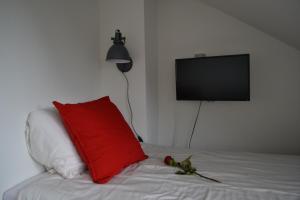 - un lit avec un oreiller rouge et une télévision à écran plat dans l'établissement Guesthouse de Hoogkamp, à Arnhem