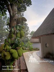 Фотография из галереи BN Private Beach & Resort - Jinja в городе Джинджа