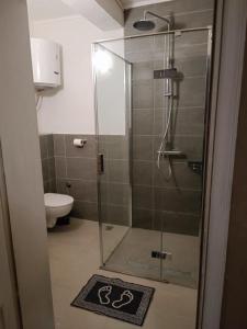 La salle de bains est pourvue d'une douche en verre et de toilettes. dans l'établissement Hostel Anton, à Tivat