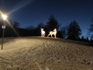 Φωτογραφία από το άλμπουμ του FeWo Oberhof - Tiefgarage und Parkplatz inklusive σε Oberhof