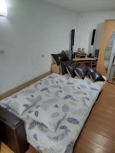 Ảnh trong thư viện ảnh của Apartmani Strahinic ở Leskovac