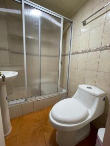 a bathroom with a shower and a toilet and a sink at Alojamientos en Torrealba, Recreo in Viña del Mar