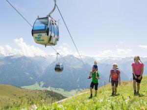 Viesi, kas uzturas naktsmītnē apartment Johann in Wald im Pinzgau with balcony