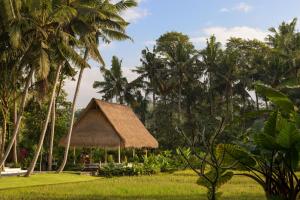 The Ubud Village Resort & Spa tesisinin dışında bir bahçe