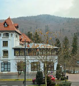 Příroda nedaleko hotelu