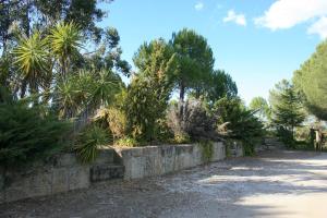 een stenen muur met bomen en planten bij Casa do Campo - Castelo Branco in Castelo Branco