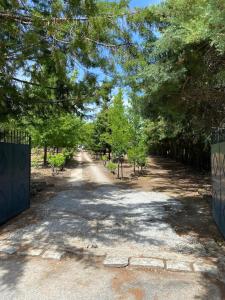 een onverharde weg met een hek en bomen erop bij Casa do Campo - Castelo Branco in Castelo Branco