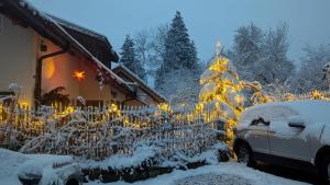 Gemütliche Waldrandlage in Badenweiler Sehringen Ferienwohnung ziemā