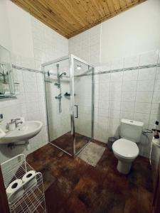 e bagno con doccia, servizi igienici e lavandino. di Penzion Berany a Jablonec nad Nisou